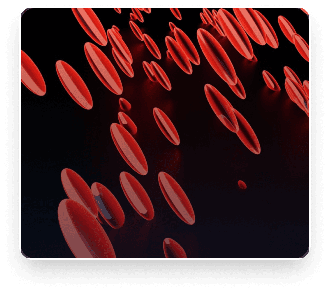 Phlebotomy training
